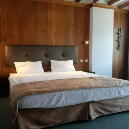 Hotel Razlog 3*